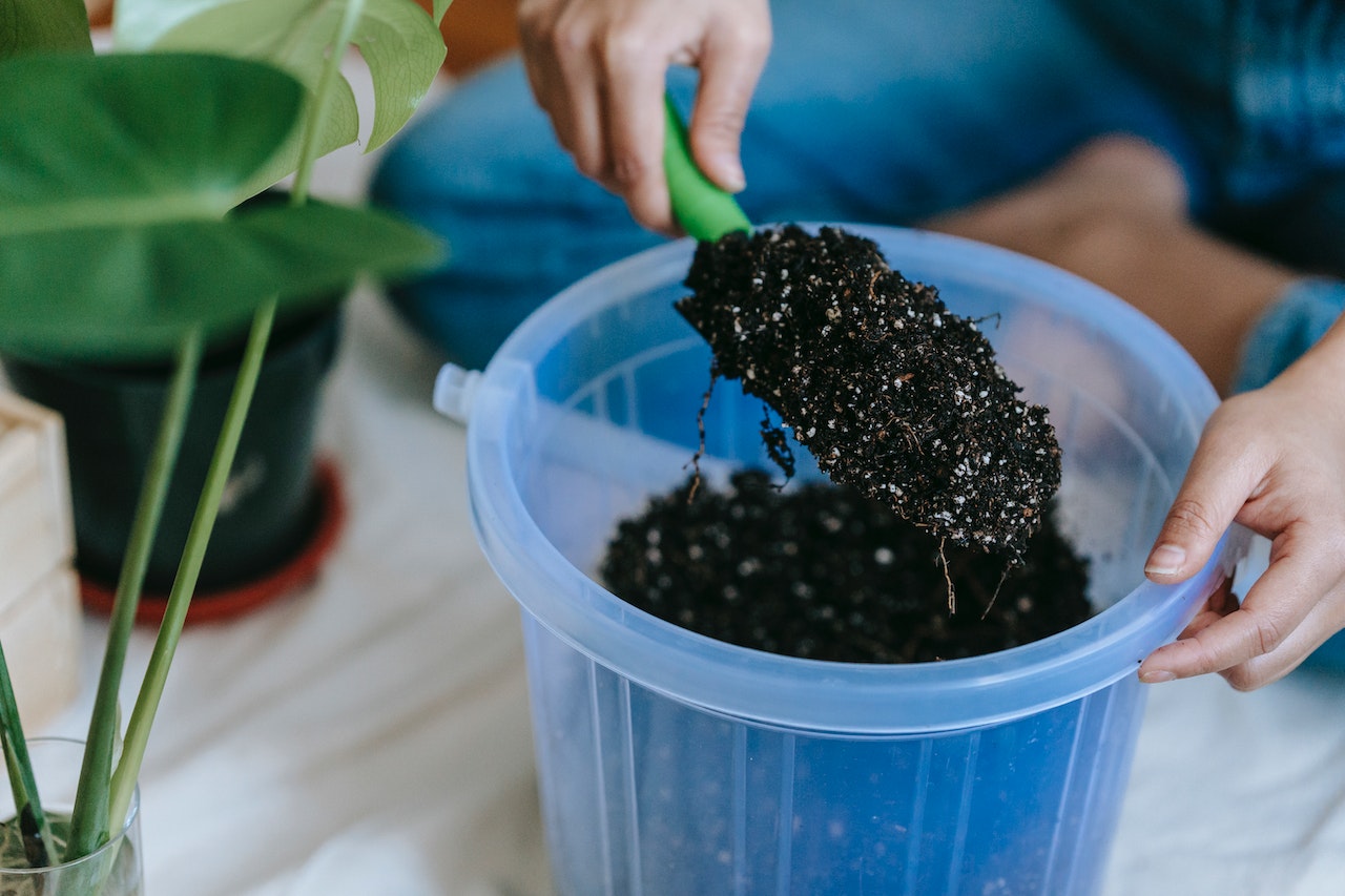 Container Gardening: Tips for Growing Plants in Small Spaces